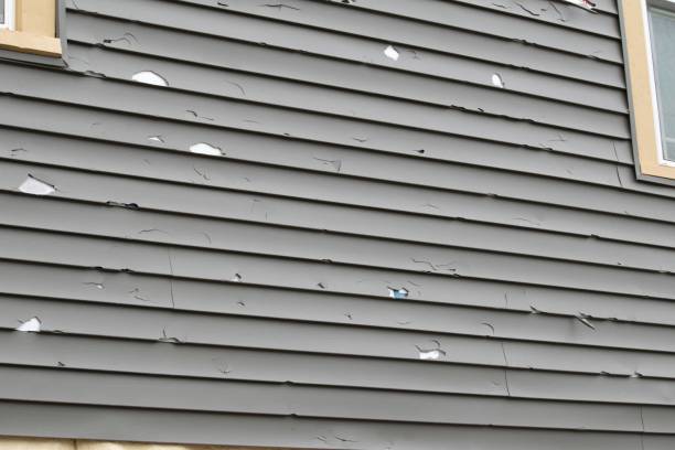 ### Historical Building Siding Restoration in Beaver, UT